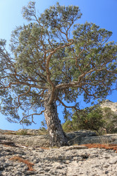 Similar image 21344721