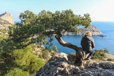 Similar image 21343913