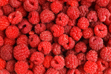 Similar image 21347921