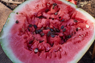 Similar image 21343915