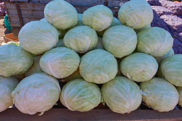 Similar image 21343917