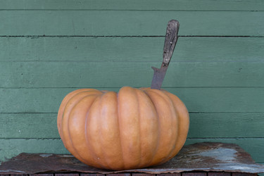 Similar image 21343918