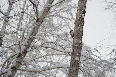 Similar image 21364656