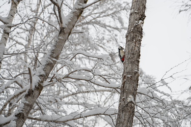 Similar image 21364657