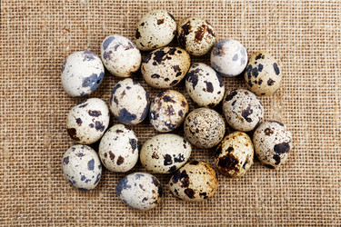 Similar image 21347375