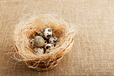 Similar image 21347379