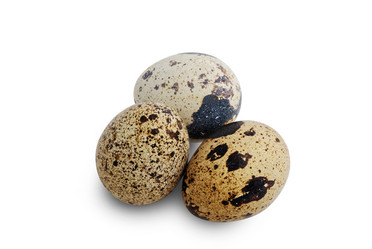 Similar image 21347383