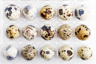 Similar image 21347385