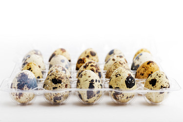 Similar image 21347387