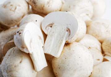 Similar image 21347393