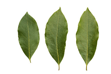 Similar image 21347394