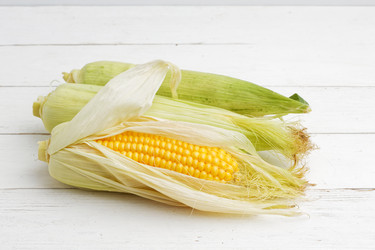 Similar image 21347400