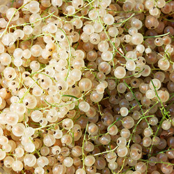 Similar image 21347403