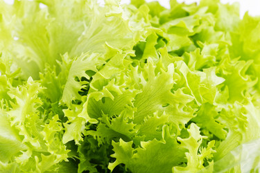 Similar image 21347406