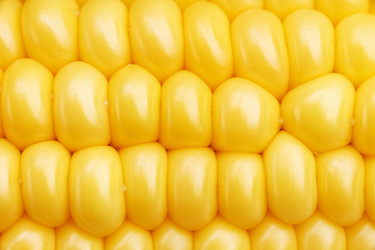 Similar image 21347411