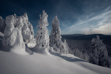 Similar image 21345622