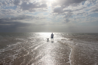 Similar image 21344746