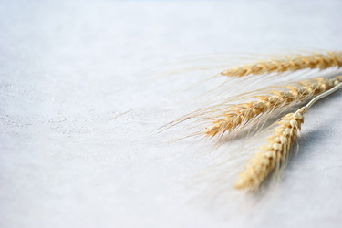 Similar image 21353631