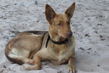 Similar image 21344752