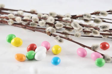 Similar image 21353643