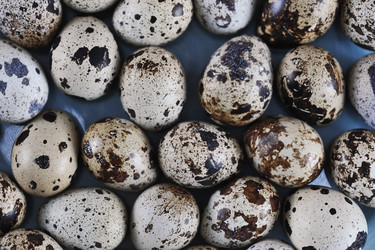 Similar image 21344757