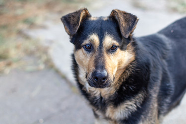 Similar image 21345043