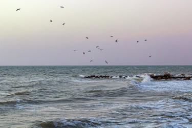 Similar image 21345267