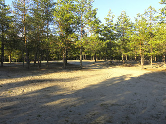 Similar image 21343229