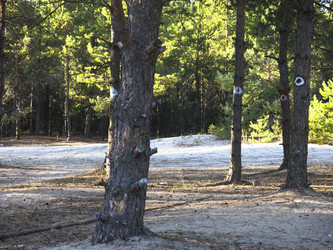 Similar image 21343231