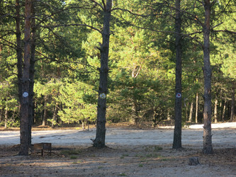 Similar image 21343232