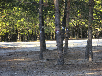 Similar image 21343233