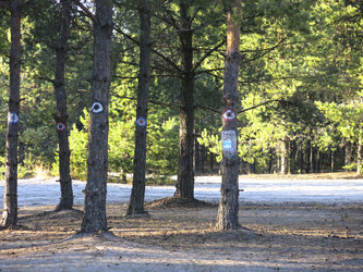 Similar image 21343235