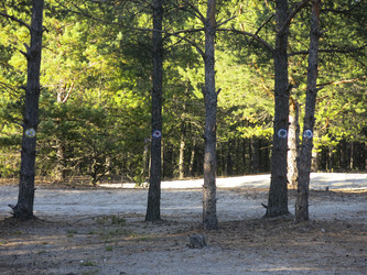 Similar image 21343236