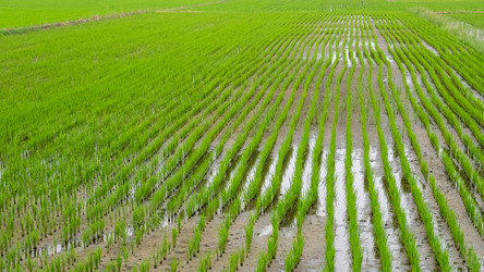 Similar image 21343432