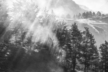 Similar image 21343438