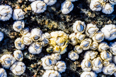 Similar image 21343445