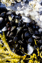 Similar image 21343446