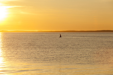 Similar image 21343447