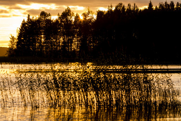 Similar image 21343448