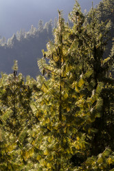 Similar image 21343449