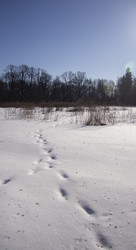 Similar image 21344286