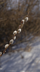 Similar image 21344288