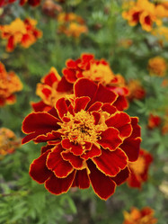 Similar image 21343964