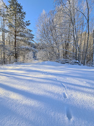 Similar image 21344290