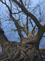 Similar image 21344291