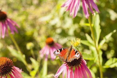 Similar image 21343710