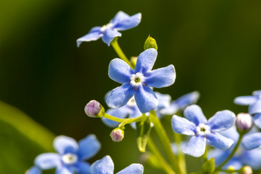 Similar image 21343711