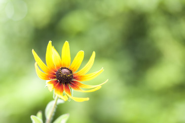 Similar image 21343714