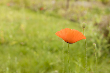 Similar image 21343715