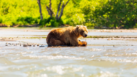 Similar image 21343716